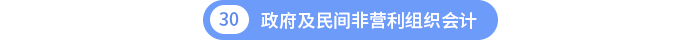 第三十章政府及民间非营利组织会计 第三十章政府及民间非营利组织会计