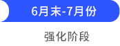 强化阶段 强化阶段