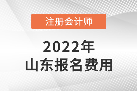 2022年山东省注册会计师报名费用是多少？