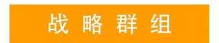 战略群组 (2)