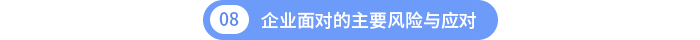 第八章：企业面对的主要风险与应对