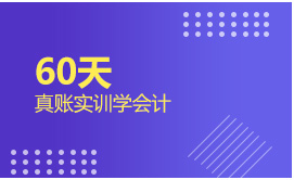 60天真账实训学会计