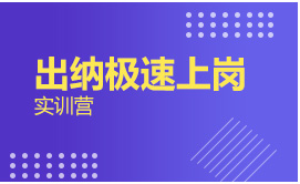 出纳极速上岗实训营