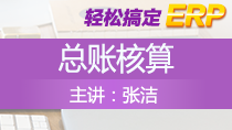 张洁轻松搞定ERP——总账核算