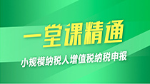 小规模纳税人增值税纳税申报