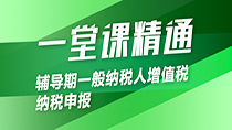 辅导期一般纳税人增值税纳税申报