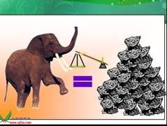 会计从业 会计从业