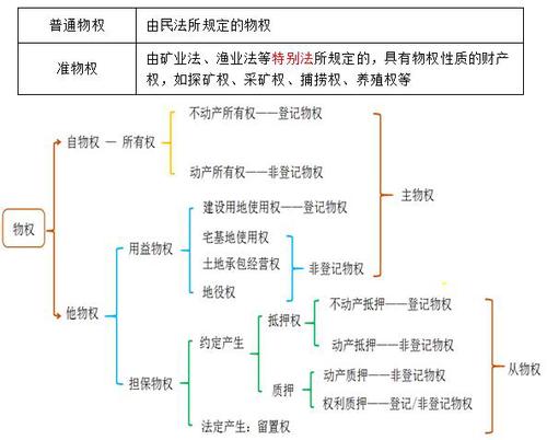 税务师 税务师