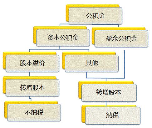 注册会计师税法 注册会计师税法