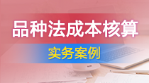 品种法成本核算实务案例