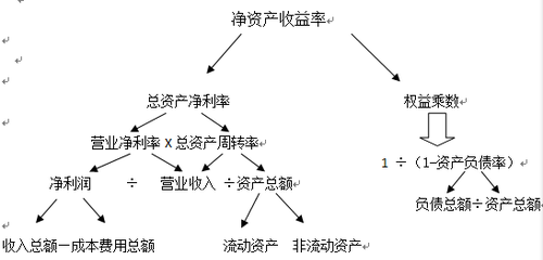 杜邦分析体系1