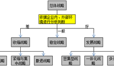 理解太麻烦？用流程解析法助力总体战略类型学习