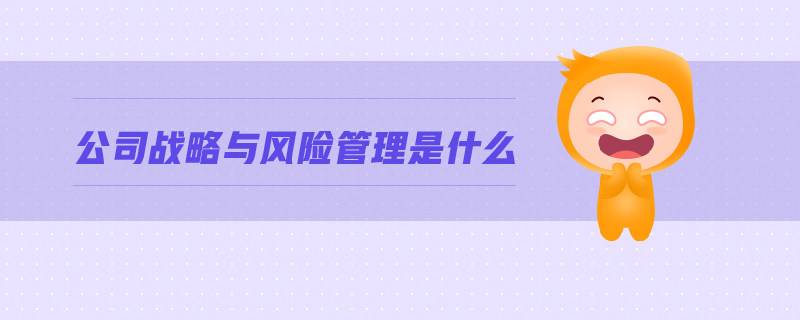 公司战略与风险管理