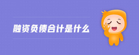 融资负债合计是什么