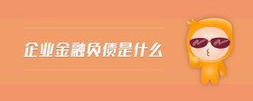 企业金融负债是什么