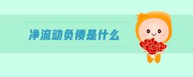 净流动负债是什么