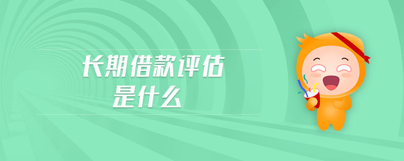 长期借款评估是什么