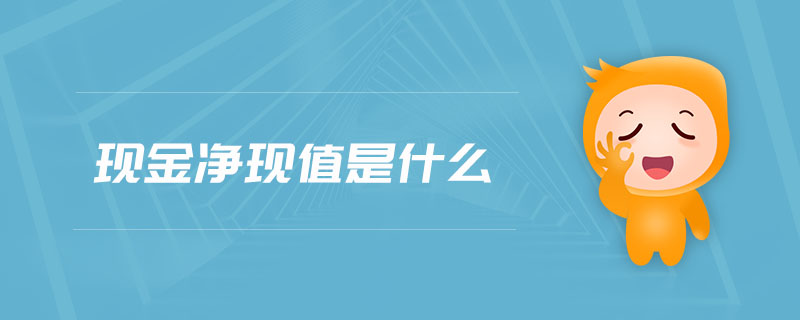 现金净现值是什么