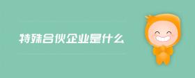 特殊合伙企业是什么