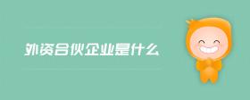 外资合伙企业是什么