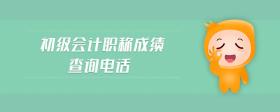初级会计职称成绩查询电话