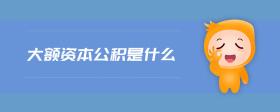 大额资本公积是什么