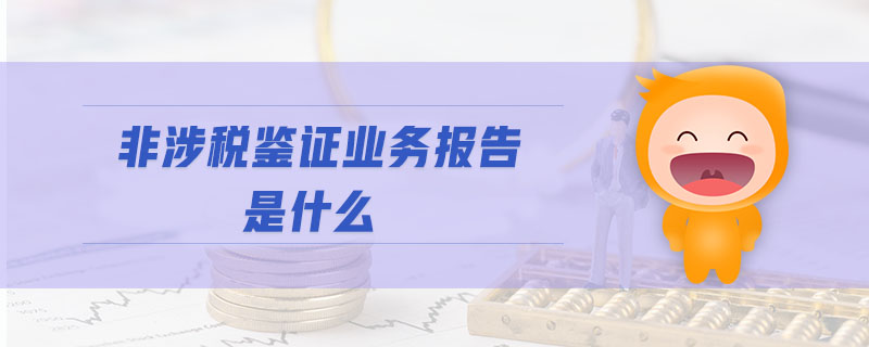 非涉税鉴证业务报告是什么