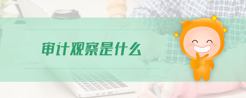 审计观察是什么