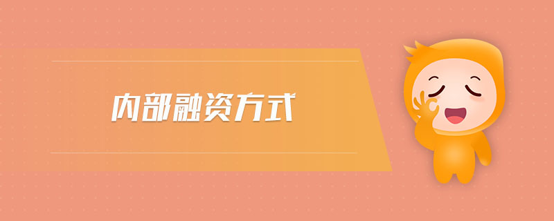 内部融资方式 内部融资方式