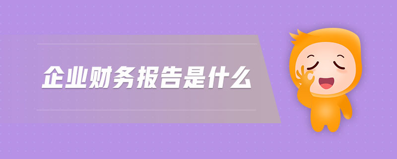 企业财务报告是什么