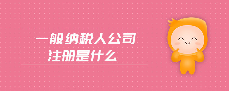 一般纳税人公司注册是什么
