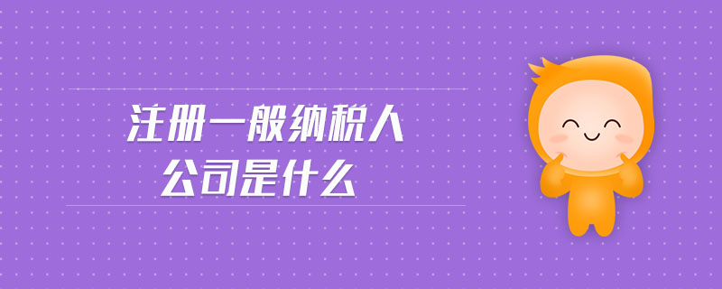 注册一般纳税人公司是什么