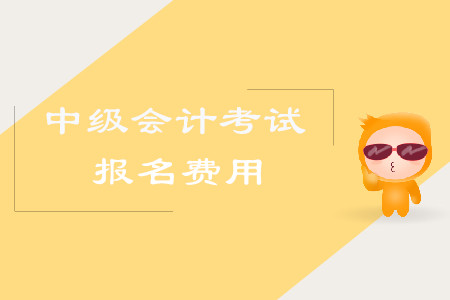 2020年四川广元中级会计师考试报名费多少钱一科？