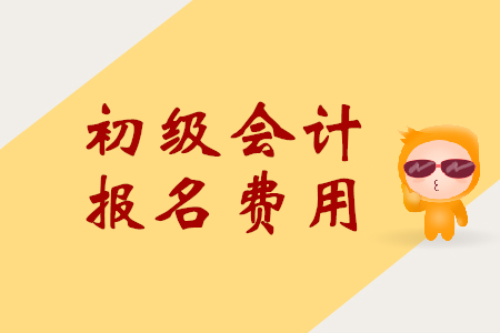 2020年初级会计师考试报名费是多少？