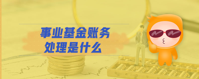 事业基金账务处理是什么