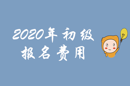 初级会计师报考费是多少钱？