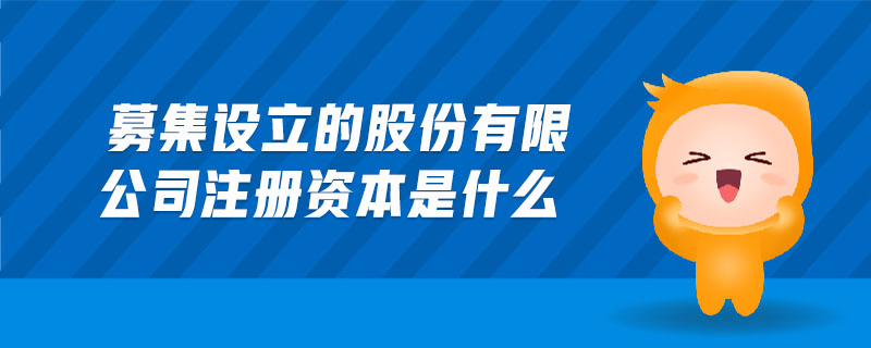 募集设立的股份有限公司注册资本是什么 募集设立的股份有限公司注册资本是什么
