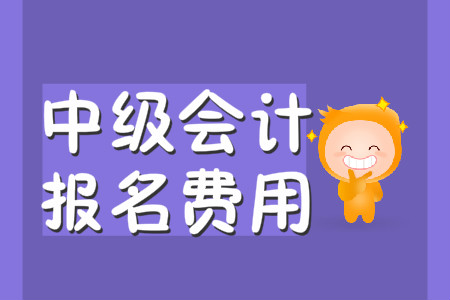 中级会计报名费福建省的是多少？