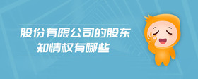 股份有限公司的股东知情权有哪些