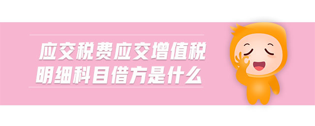 应交税费应交增值税明细科目借方是什么 应交税费应交增值税明细科目借方是什么