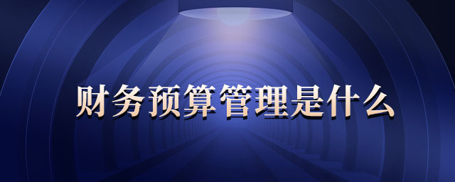 财务预算管理是什么 财务预算管理是什么