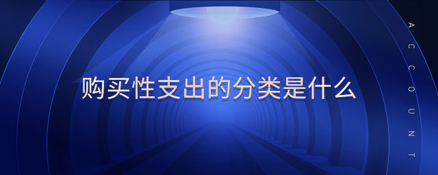 购买性支出的分类是什么