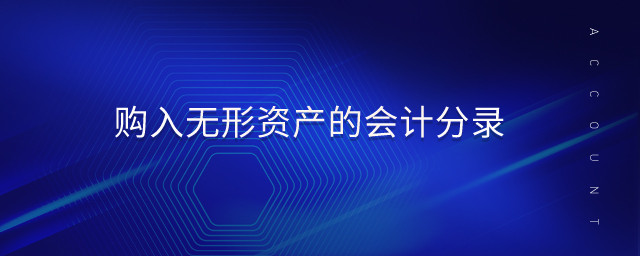 购入无形资产的会计分录 购入无形资产的会计分录