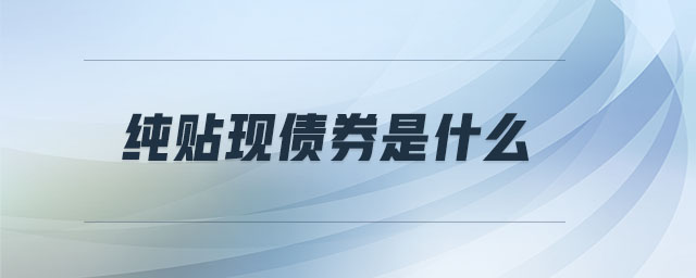 纯贴现债券是什么 纯贴现债券是什么