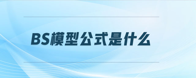 BS模型公式是什么