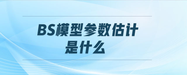 BS模型参数估计是什么