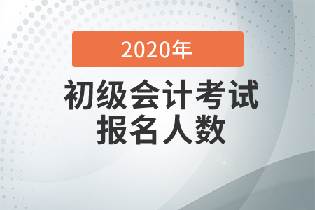陕西省延安市2020年初级会计考试报名人数及参考率已公布