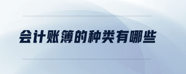 会计账簿的种类有哪些 会计账簿的种类有哪些