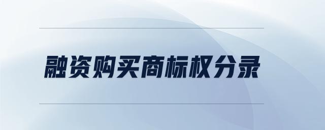 融资购买商标权分录