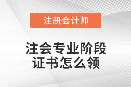 注会专业阶段证书怎么领
